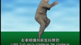 太极最新版本下载，时代技术结晶，全新体验等你来探索