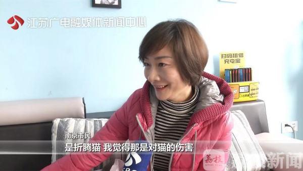 探索小巷中的神秘猫咪大赛，参赛指南与攻略
