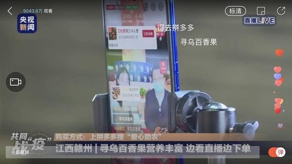 寻乌最新资讯深度解析，观点阐述与最新动态报告