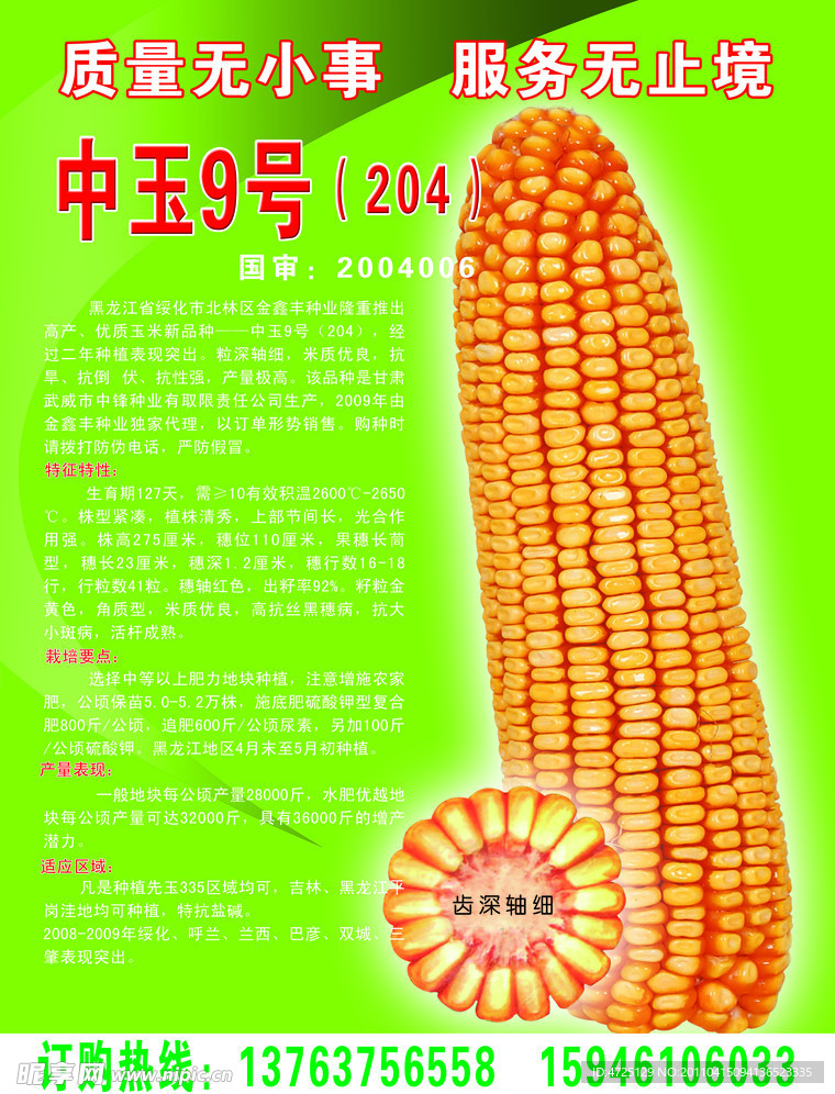 最新玉米种子与温馨家园的奇缘