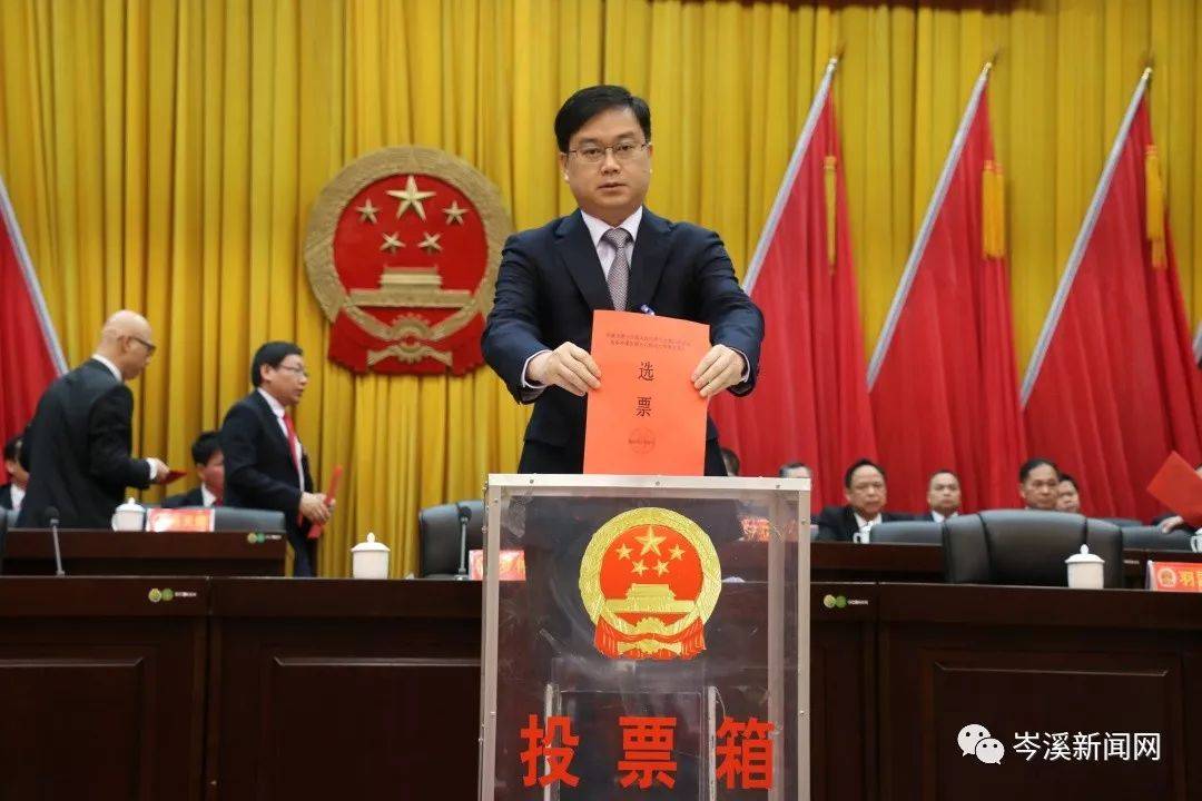 岑溪人事任免信息详解，获取指南及初学者进阶指南