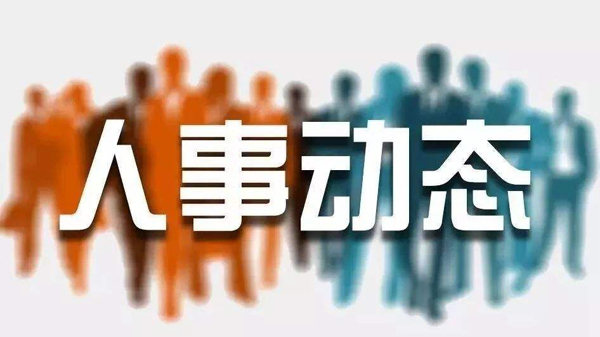长治市人事任免信息解析，日常故事与任免动态