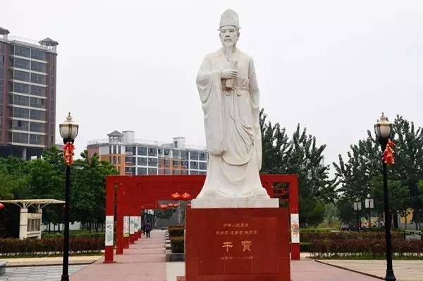 新蔡天龙禽业最新消息与动态概览