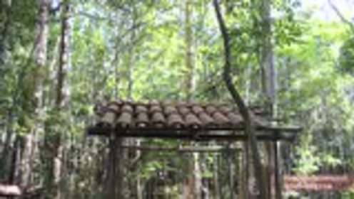 澳洲小哥荒野求生纪实，学习荒野求生技能的必备指南