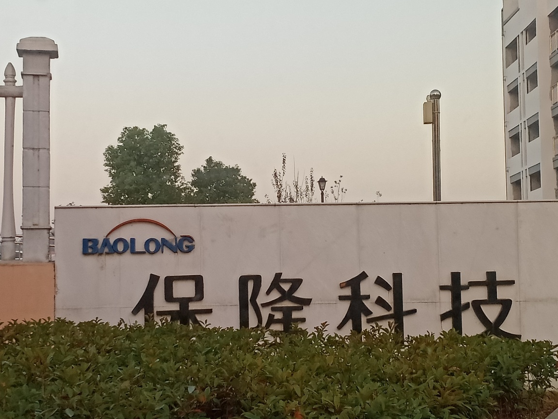 保隆科技最新动态，小巷宝藏的魅力与特色小店的无限探索