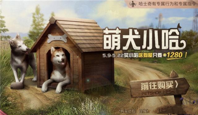新型宠物风潮，另类宠物的兴起、争议与介绍