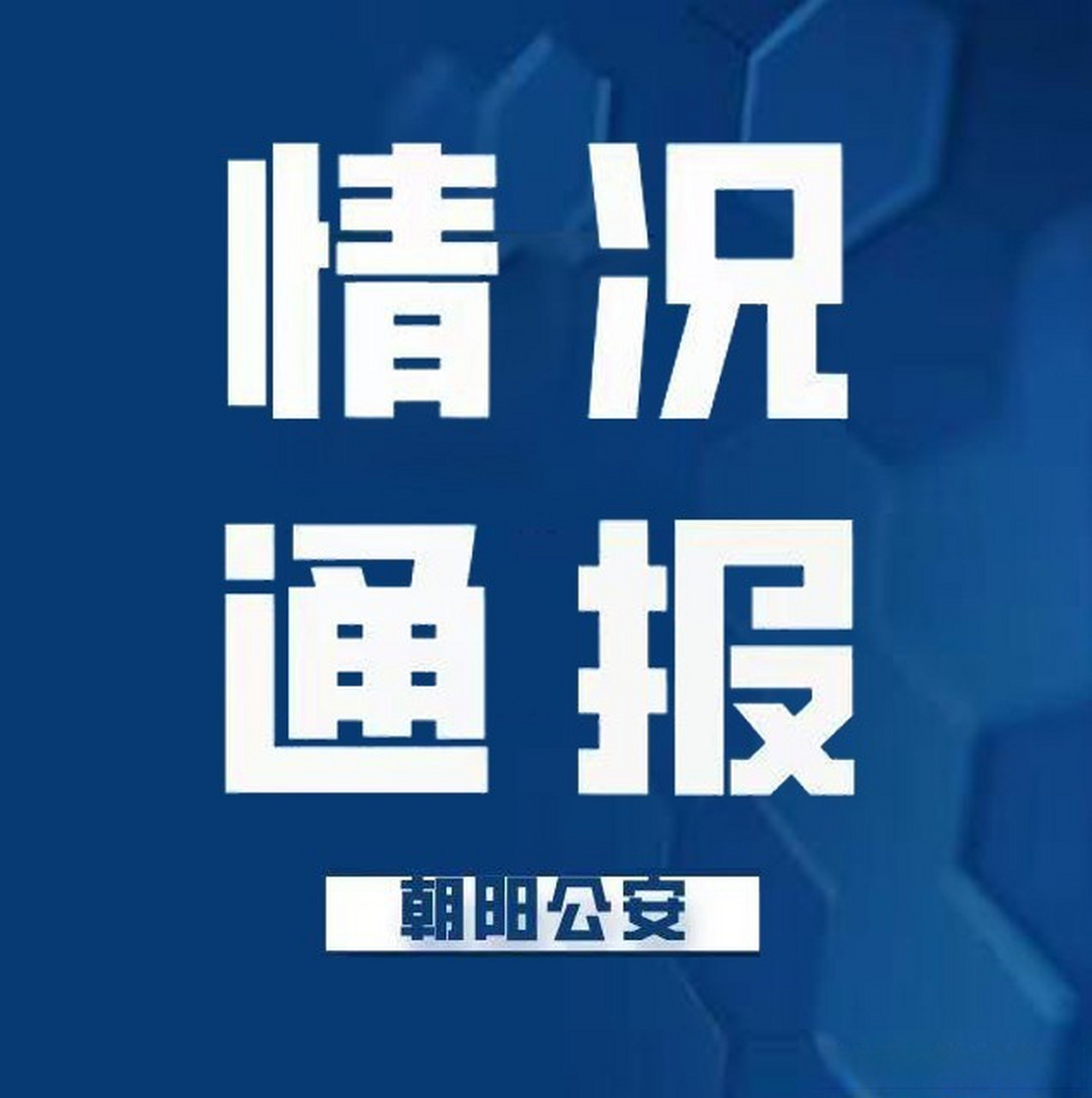 最新动态揭示，平凡日常的温馨故事