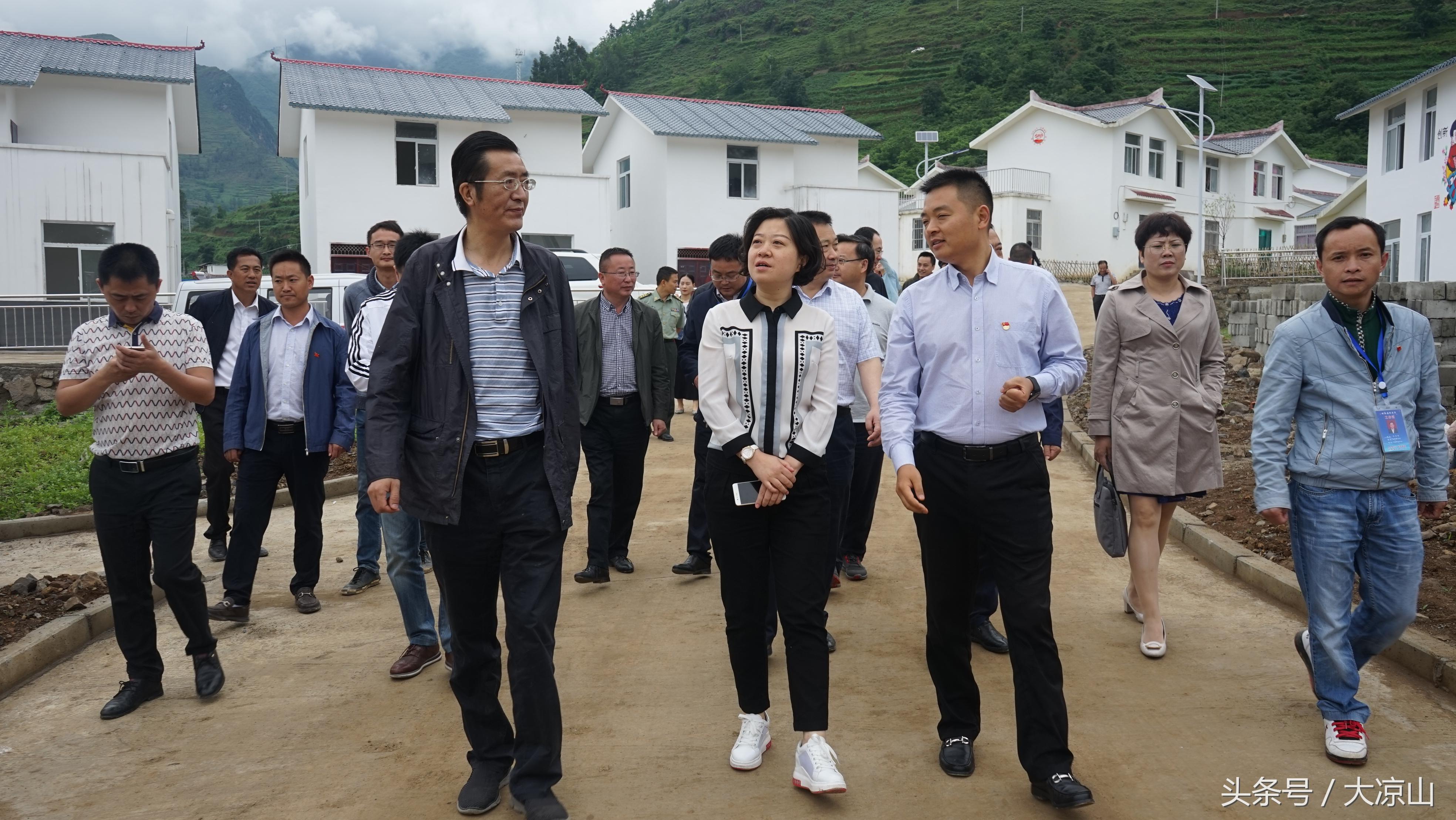 绵竹最新人才招聘信息概览与观点论述